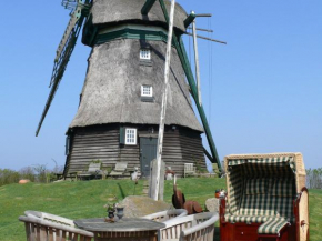 Beautiful authentic mill close to the beach
